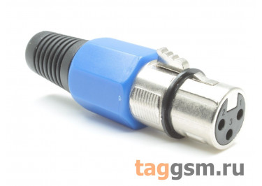  XLR -  ( ) 